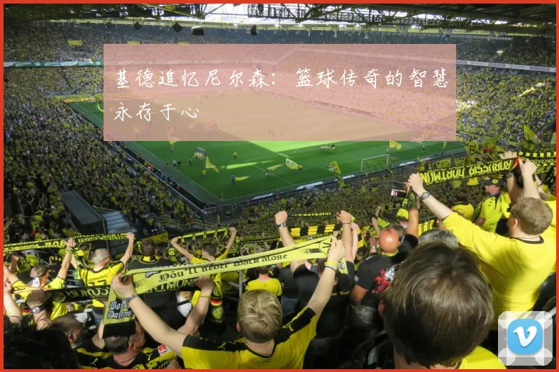 基德追忆尼尔森：篮球传奇的智慧永存于心
