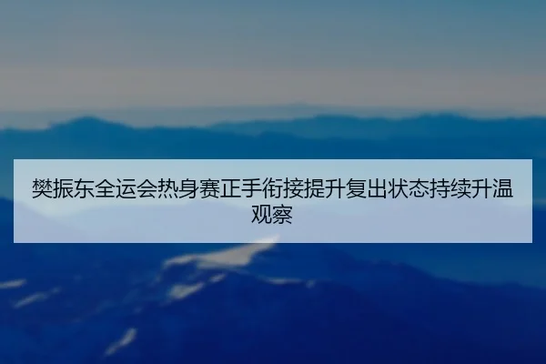 樊振东全运会热身赛正手衔接提升复出状态持续升温观察